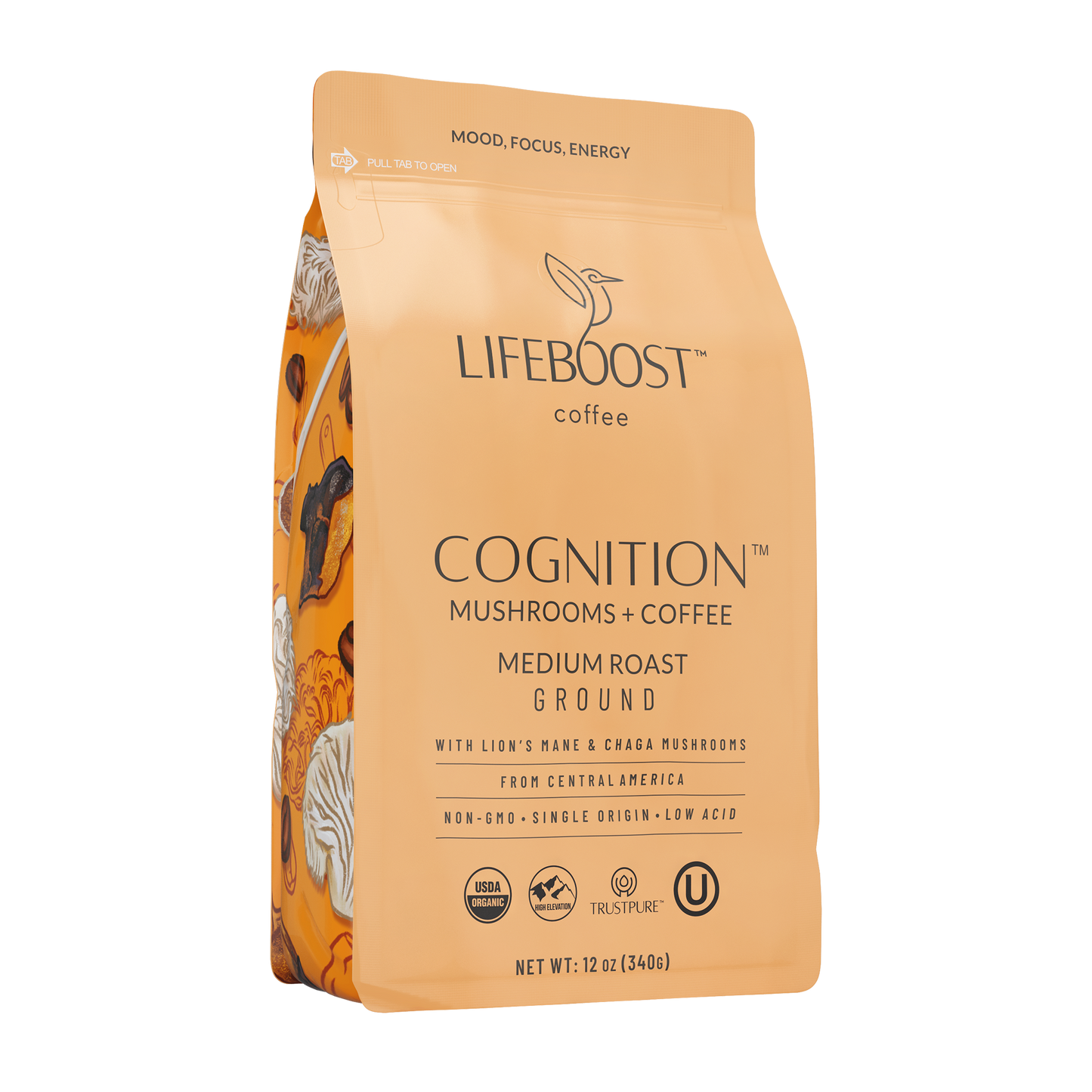 Cognition Mushroom Coffee