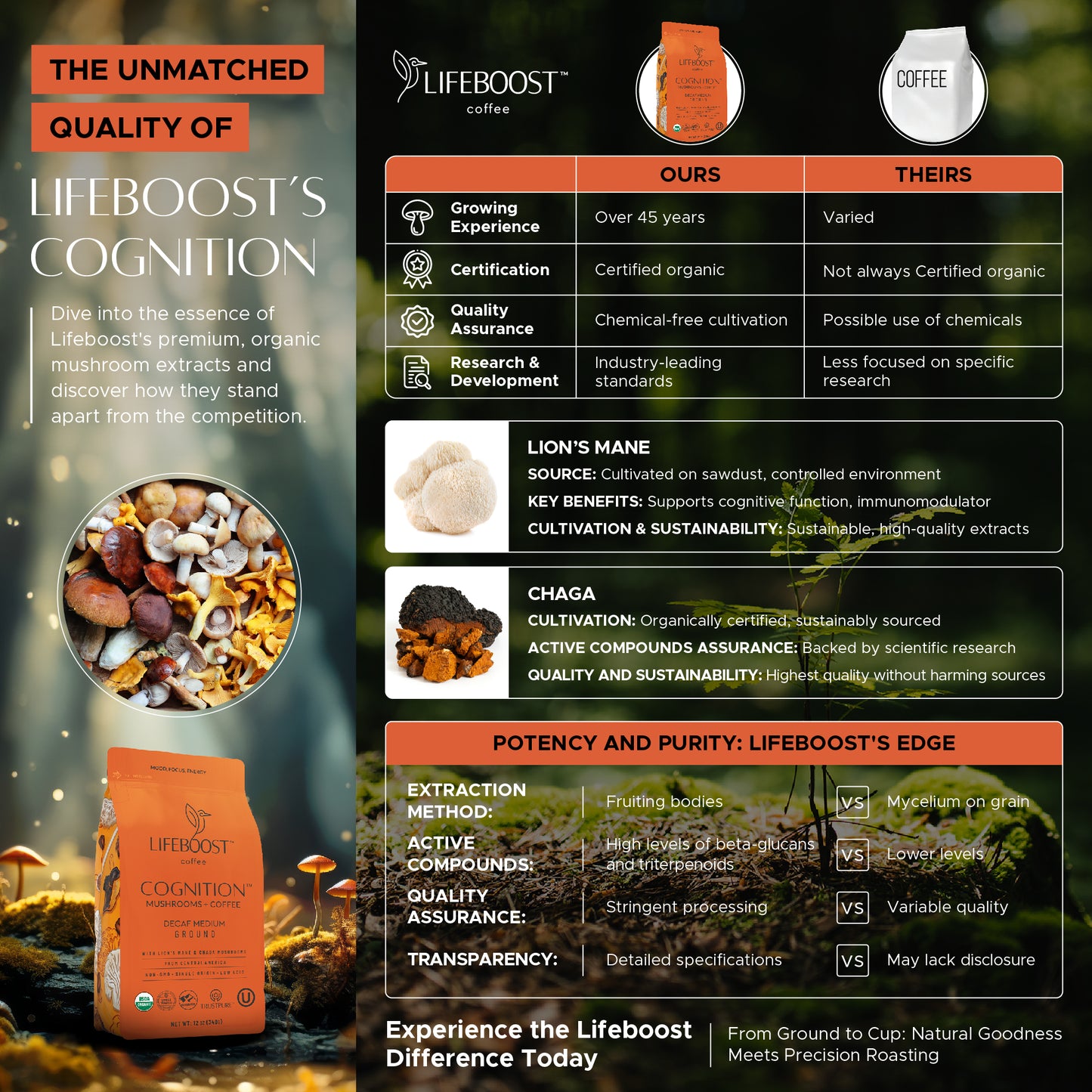 NEW! Decaf Cognition Mushroom Coffee